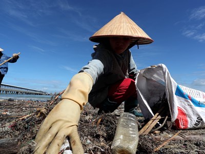 Trả lại môi trường xanh, sạch, đẹp cho bãi biển Cô Tô