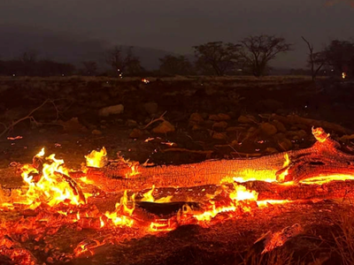 Ít nhất 55 người chết ở Hawaii vì cháy rừng