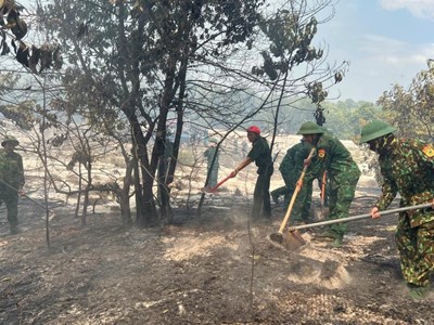Thừa Thiên Huế: Huy động lực lượng dập tắt vụ cháy rừng phòng hộ ven biển
