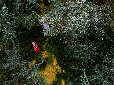 Nghệ An hướng tới quảng bá hình ảnh du lịch một cách chuyên nghiệp