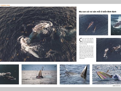 16 tác phẩm đoạt giải tại Festival Nhiếp ảnh trẻ