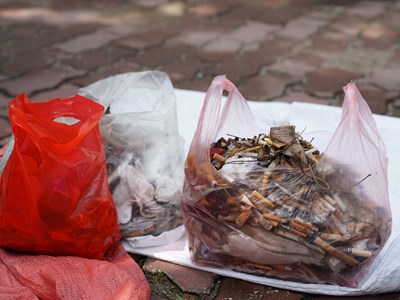 Chung tay dọn rác vì một Hà Nội xanh - sạch - đẹp