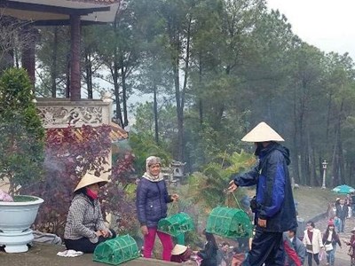 Khuyến cáo phật tử không mua, bán chim hoang dã để phóng sinh