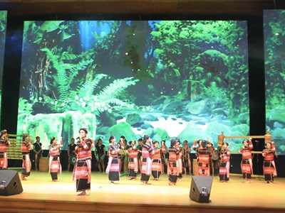 Khai mạc các hoạt động tại Ngày hội văn hóa các dân tộc miền Trung lần thứ IV