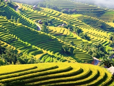 Cùng trải nghiệm ‘Tiếng gọi mùa vàng’ tại Hoàng Su Phì