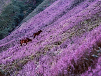 Phát triển du lịch Yên Bái qua Giải leo núi “Bước chân trên mây” đầu tiên dành cho giới báo chí
