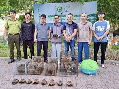 Bàn giao nhiều động vật quý hiếm để thả về tự nhiên