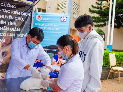Ngày Thế giới phòng chống bệnh dại: Tiêm vắc xin và chấm dứt nạn mua bán chó, mèo
