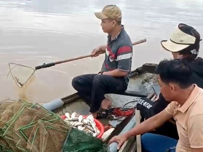 Quảng Trị: Xử phạt 50 triệu đồng đối với công ty xả thải ra sông Sa Lung