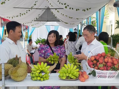 Hội thảo khoa học phát triển vùng chuyên canh cây ăn quả lớn nhất Quảng Ngãi