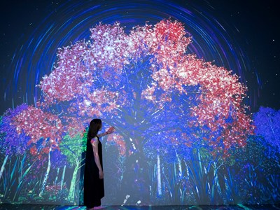 Trải nghiệm không gian nghệ thuật kỹ thuật số đầu tiên ở Huế