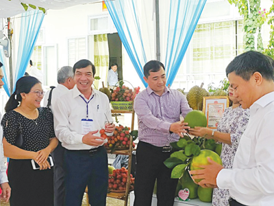 Đảng bộ huyện Nghĩa Hành (Quảng Ngãi): Chung sức cùng người dân giảm nghèo bền vững