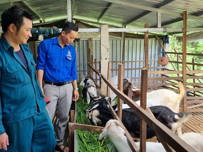 Khi thanh niên năng động, sáng tạo