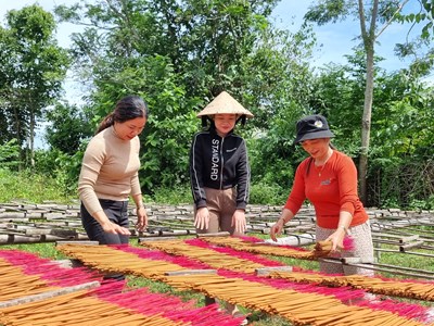 Huyện Tư Nghĩa (Quảng Ngãi): Đồng hành cùng người dân phát triển kinh tế