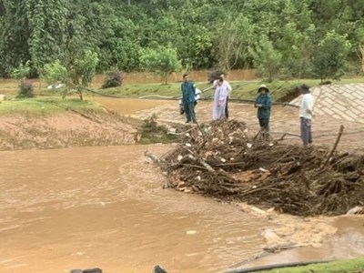 Lâm Đồng: Bốn du khách nước ngoài bị lũ cuốn trôi