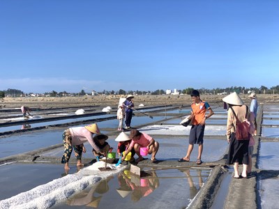 Đánh thức tiềm năng du lịch nông nghiệp, nông thôn ở Quảng Ngãi