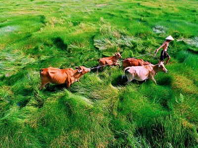 Triển lãm tưởng nhớ nghệ sĩ nhiếp ảnh Hoàng Thạch Vân