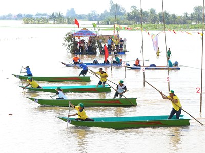 Về miền Tây trải nghiệm “đặc sản” mùa nước nổi