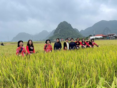 Lễ hội mùa vàng Bắc Sơn