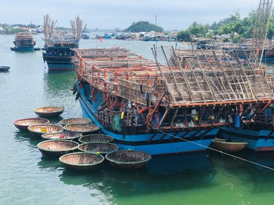 Một ngư dân mất tích khi hành nghề câu mực trên biển