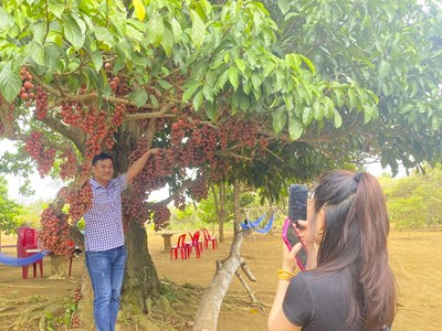 Đầu tư xanh để du lịch Phú Yên phát triển