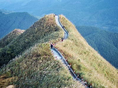 Gắn kết với lợi thế du lịch nông nghiệp