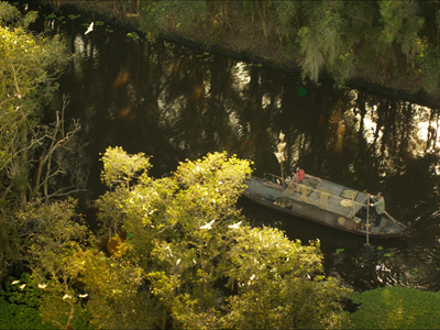 Chủ tịch Hội Điện ảnh Việt Nam Đỗ Lệnh Hùng Tú: Hội đồng thẩm định, phân loại phim đã cởi mở, thẳng thắn lắng nghe đa chiều dư luận