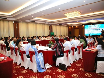 Quảng Nam: Khởi nghiệp du lịch xanh và bền vững