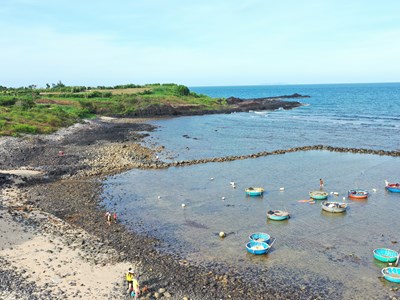 Quảng Ngãi xác định 5 khu vực cấm khai thác thủy sản ven bờ