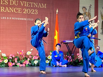 Ấn tượng võ Việt trong Ngày Việt Nam tại Pháp 2023