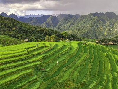 Cần tập trung nguồn lực cho chương trình du lịch nông nghiệp gắn với Chương trình OCOP