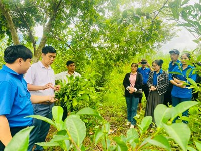 Định vị thương hiệu cho sản phẩm khởi nghiệp của thanh niên miền núi Quảng Ngãi