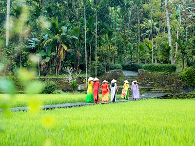 Tìm giải pháp cho du lịch xanh phát triển đột phá