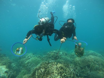 Tăng cường bảo vệ khu bảo tồn biển Hòn Mun