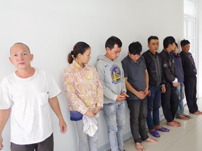 Triệt phá nhóm đối tượng trộm chó, mèo