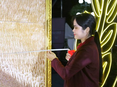 Bức tranh lớn nhất Việt Nam được làm từ gạo ST