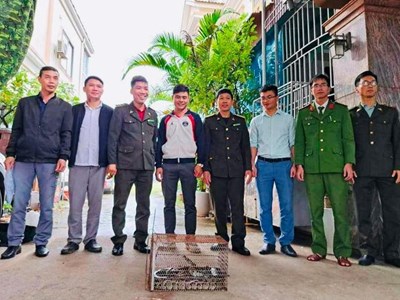 Người dân bàn giao trăn đất quý hiếm cho Vườn quốc gia Vũ Quang