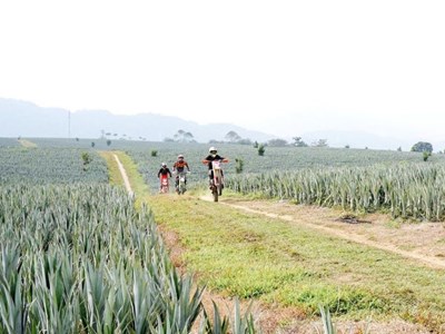 80 VĐV tham dự Giải đua mô tô địa hình Lai Châu