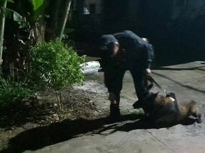 Huy động chó nghiệp vụ tìm kiếm bé trai hai tuổi mất tích