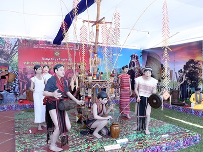Trưng bày hơn 300 tài liệu, hiện vật đặc trưng văn hóa các dân tộc Tây Nguyên