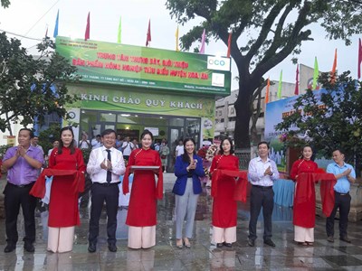 Vùng đất trung du, miền núi Bình Định có trung tâm trưng bày, giới thiệu sản phẩm nông nghiệp OCOP