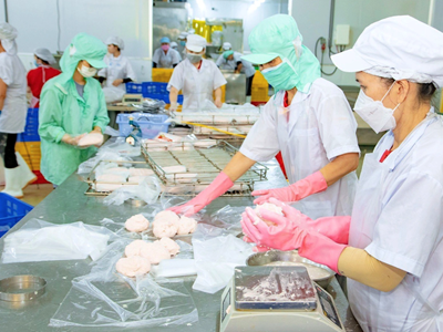 Phòng ngừa ngộ độc thực phẩm do nhiễm khuẩn Salmonella trong thực phẩm