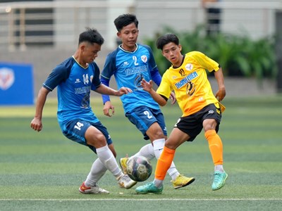 Giải bóng đá Thanh Niên sinh viên Việt Nam 2024 tăng số lượng đội tham dự