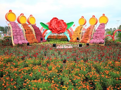 Đồng Tháp: Khai mạc Festival Hoa – Kiểng Sa Đéc lần thứ I