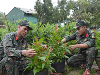Bộ đội Quảng Ngãi trang trí, trồng hoa đón Tết
