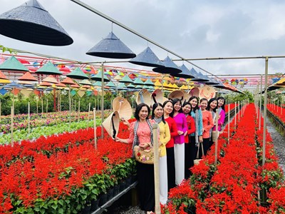 Festival Hoa - kiểng Sa Đéc thu hút hơn 245.000 lượt khách