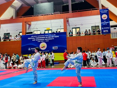 Gần 1.100 võ sinh dự Festival Taekwondo Hà Nội mở rộng
