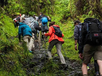 Thể thao cưỡi ngựa – bộ môn rèn luyện thể chất, chữa lành tinh thần