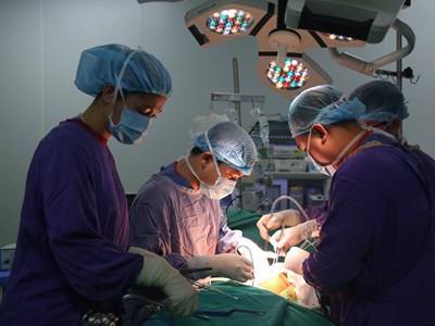 Hai ngày liên tiếp cứu sống tám người bệnh từ hai bệnh nhân chết não