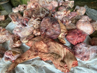 Thừa Thiên Huế: Thu giữ hơn 3 tấn thực phẩm không rõ nguồn gốc xuất xứ